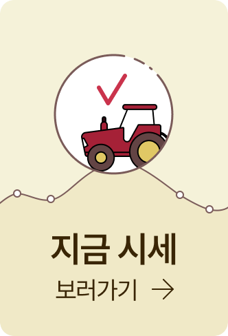 지금 시세 보러가기