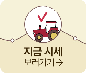 지금 시세 보러가기