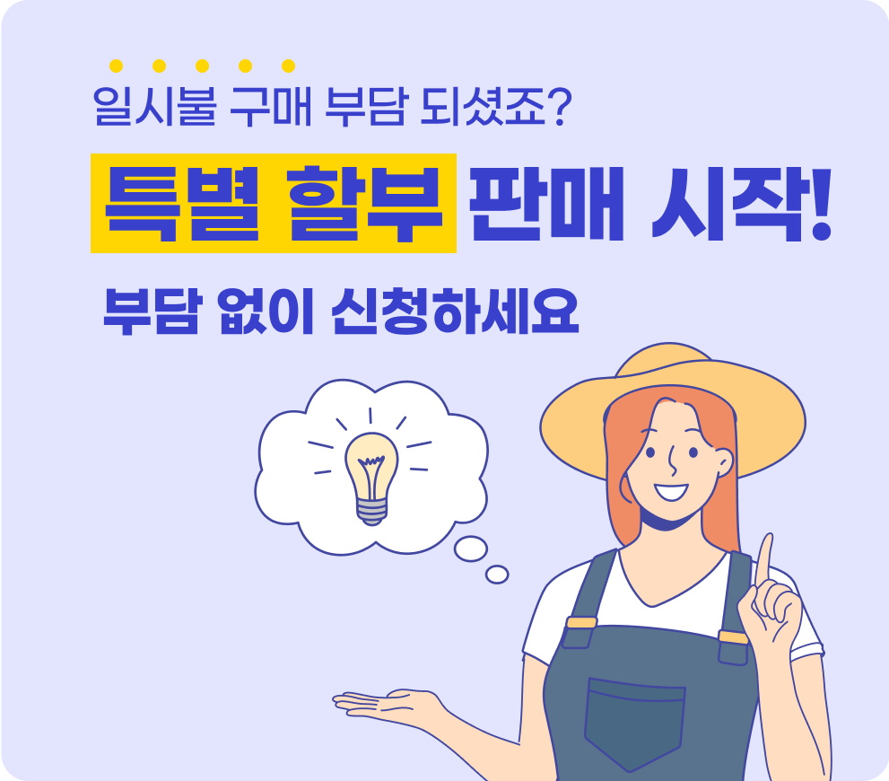 특별 할부 판매
